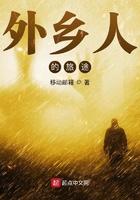 外乡人的旅途精校版txt